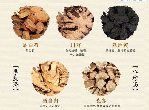 八珍湯提取物 訂制八珍湯提取濃縮液 廠(chǎng)家 訂做批發(fā)價(jià)格 陜西 斯諾特生物 植物提取物