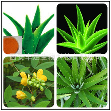 天然原料提取物_粉氨甲苯酸油_蘆薈蝦青素提取物_廠家批發(fā)_采購(gòu)價(jià)格 