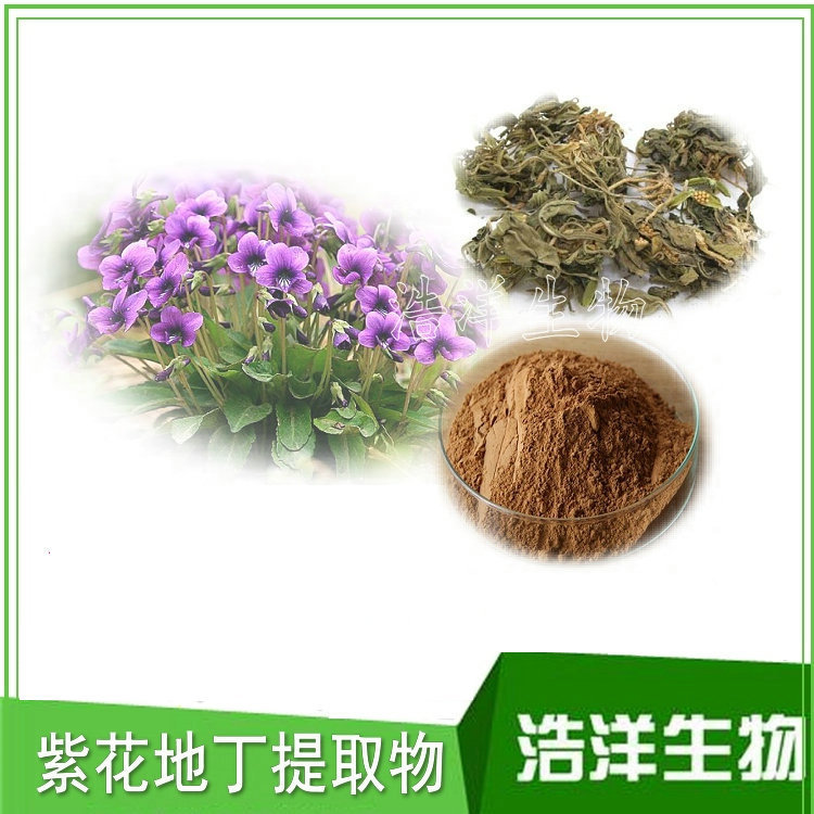 苦地丁提取物 紫花地丁提取物 小雞菜提取物