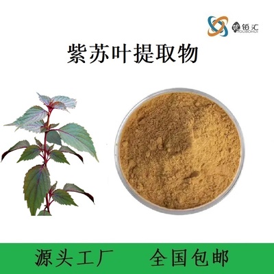 紫蘇葉提取物生產(chǎn)廠家