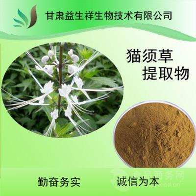 貓須草提取物 貓須草粉 歡迎采購 甘肅益生祥批發(fā)價格@甘肅蘭州 甘肅益生祥生物技術 植物提取物-