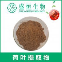 供應大量現(xiàn)貨供應 荷葉提取物 荷葉堿 各種植物提取物