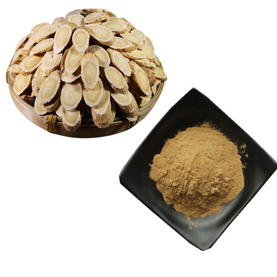 斯諾特 植物提取物 1000g 白樺茸濃縮粉