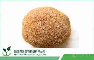 猴頭菇多糖及提取物 工廠直供價(jià)格與市場(chǎng)前景解析